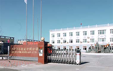麗泰 麗泰