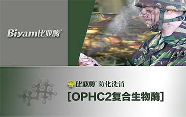 比亞酶 比亞酶