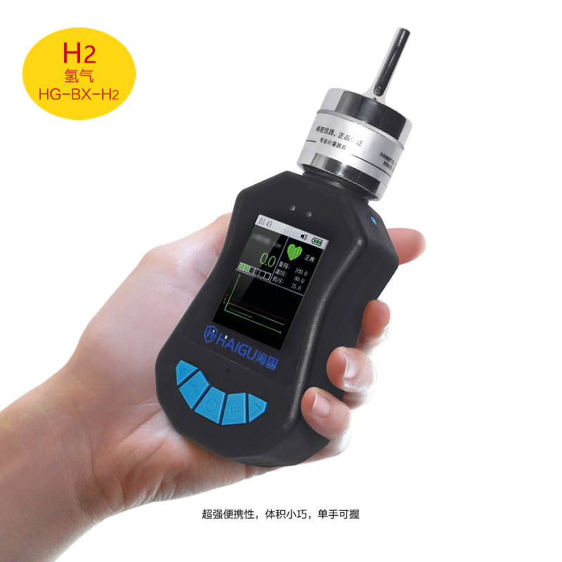 海固HG-BX-H2氫氣泵吸式氣體檢測儀圖片2