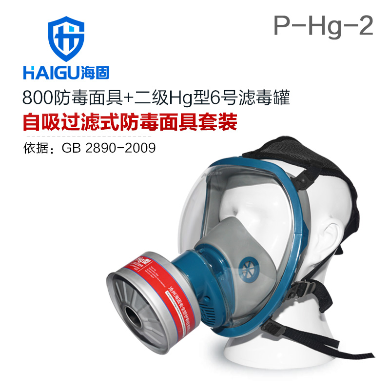 海固HG-800+HG-LV P-Hg-2全面罩水銀防毒面具