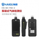 海固HG-FB4-2泵吸式四合一氣體檢測(cè)儀