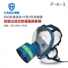 海固HG-800 P-K-3氨氣全面罩防毒面具