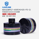 海固Z-A/B/E/K/H2S-P2-2二級綜合濾毒罐