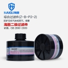 海固Z-B-P2-2二級防無機氣體濾毒罐
