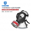 海固HG-700+HG-LV P-Hg-2全面罩水銀防毒面具