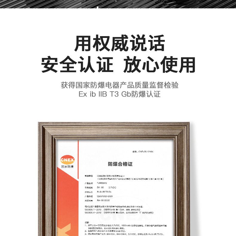 保時安BH-90便攜式擴散式單一氣體檢測儀7.jpg
