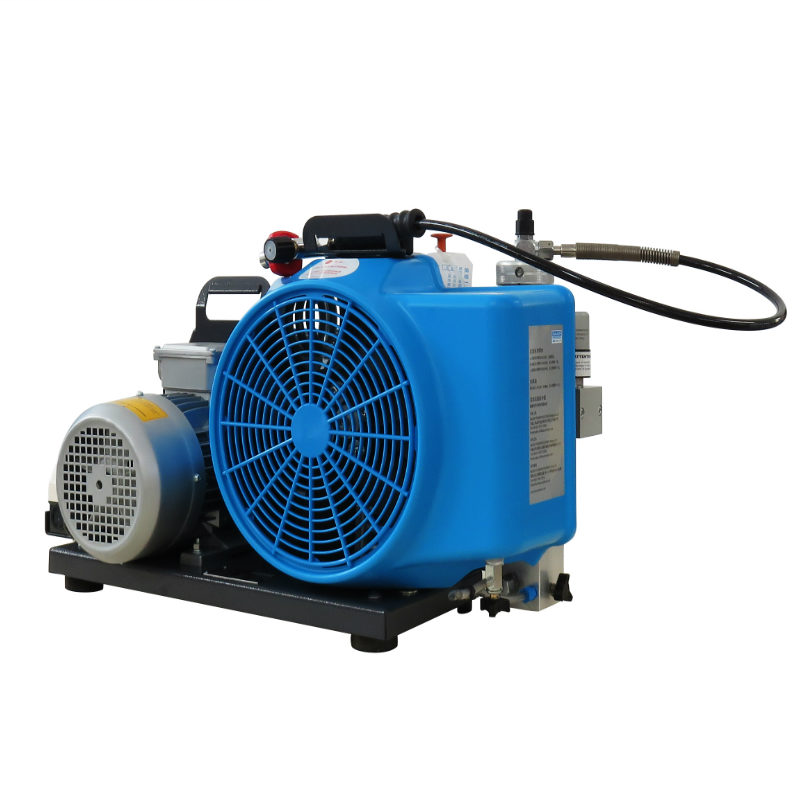 梅思安10181242空氣壓縮機MSA100TW單相電機充氣泵